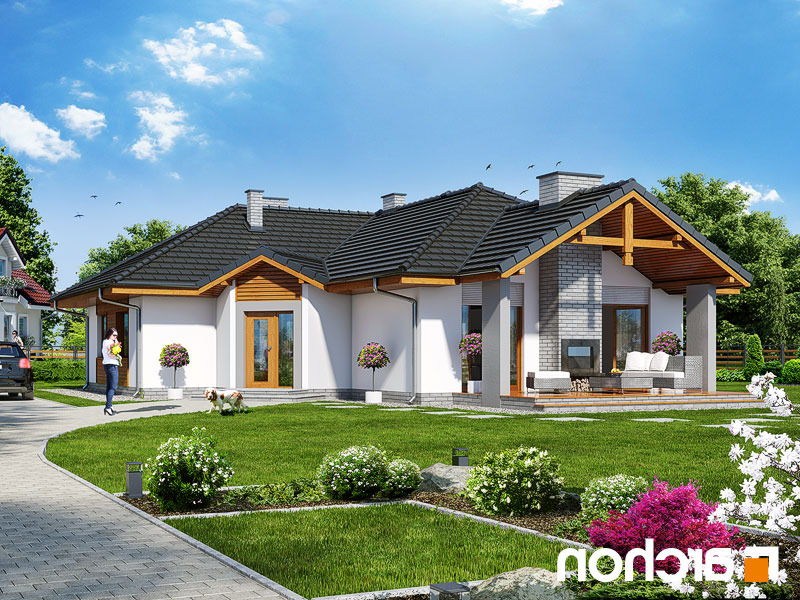 Producent domów z drewna