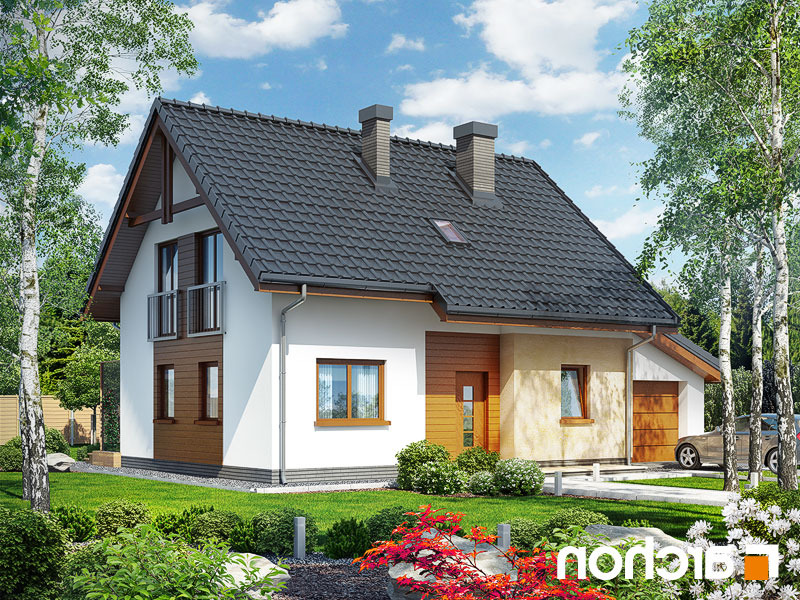 Producent domów z drewna