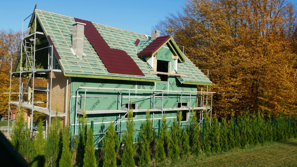P1000353