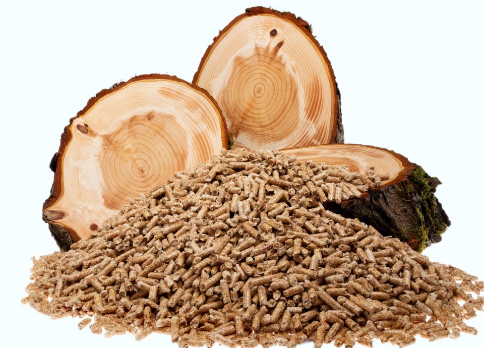 pellet